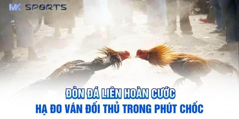 Đòn Đá Liên Hoàn Cước